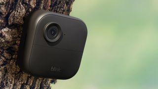 Blink Outdoor 4 attached to a tree