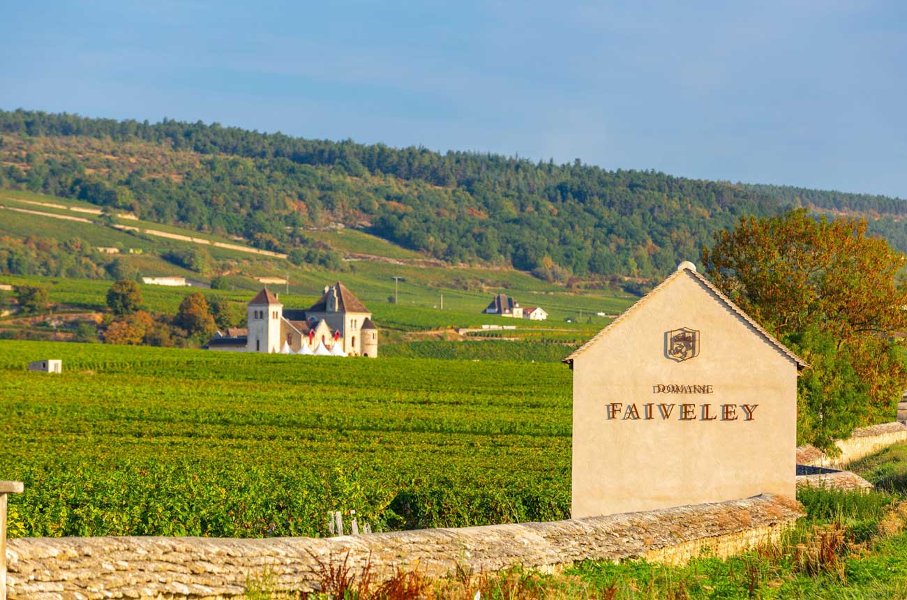 Domaine Faiveley vineyard scene
