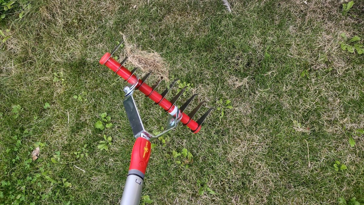 Dethatcher with thatch above lawn