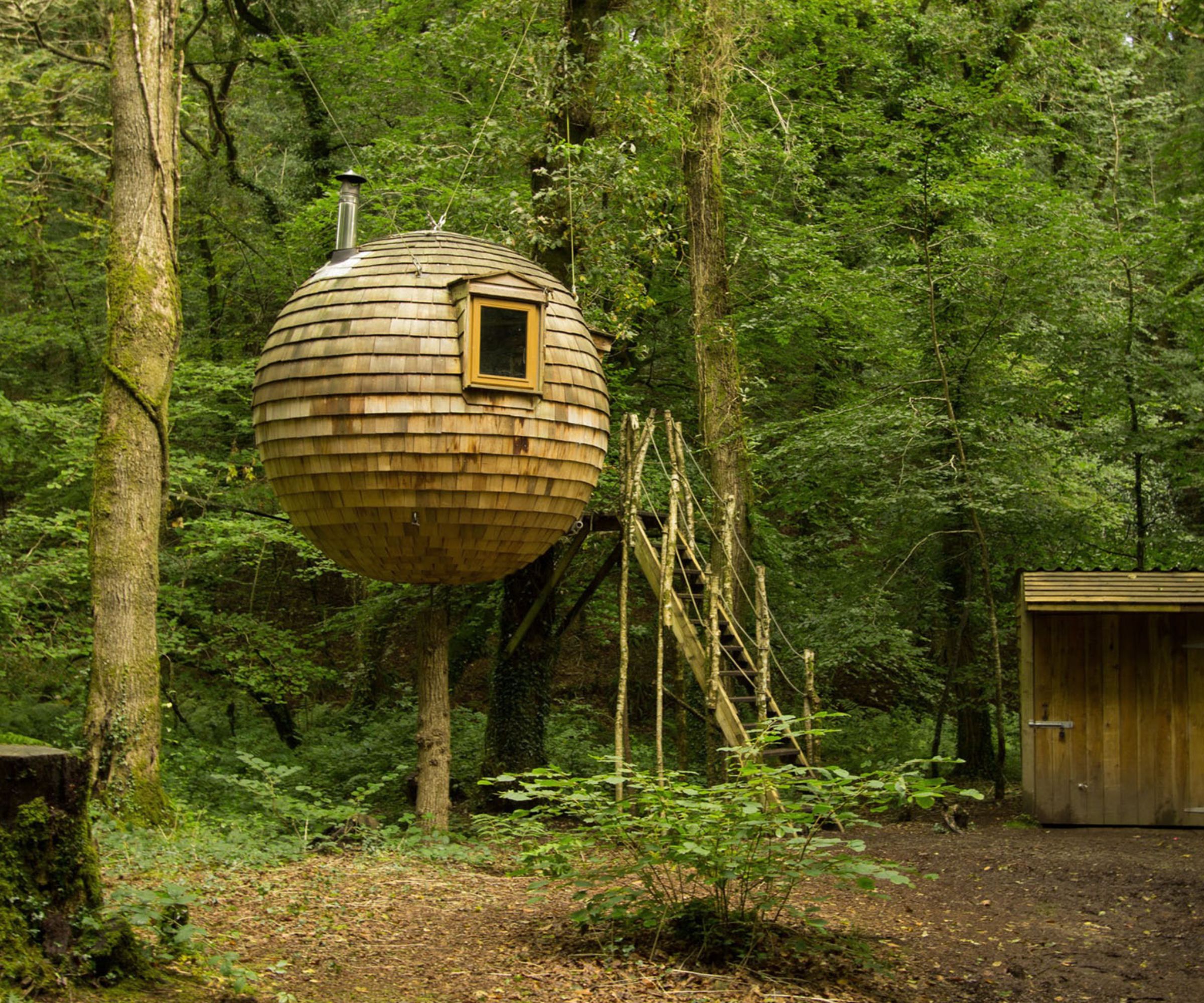 A unique spherical treehouse suspended from trees in a dense woodland setting.