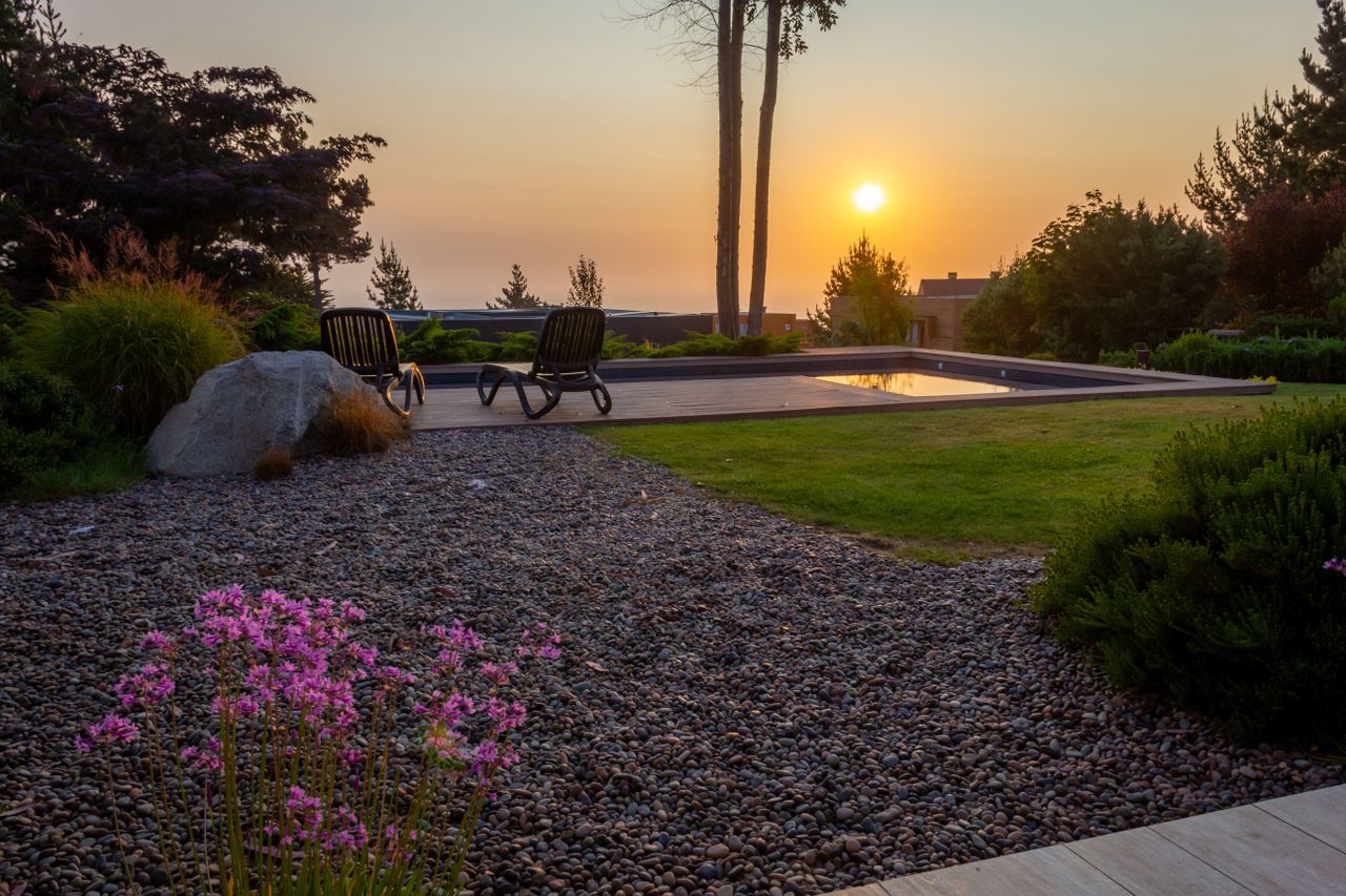 backyard with gravel garden and pink flowers in the sunset