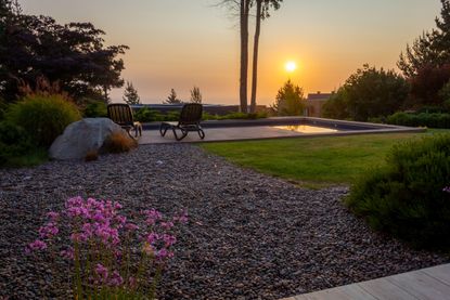 backyard with gravel garden and pink flowers in the sunset
