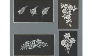 sketches of botanically inspired jewellery