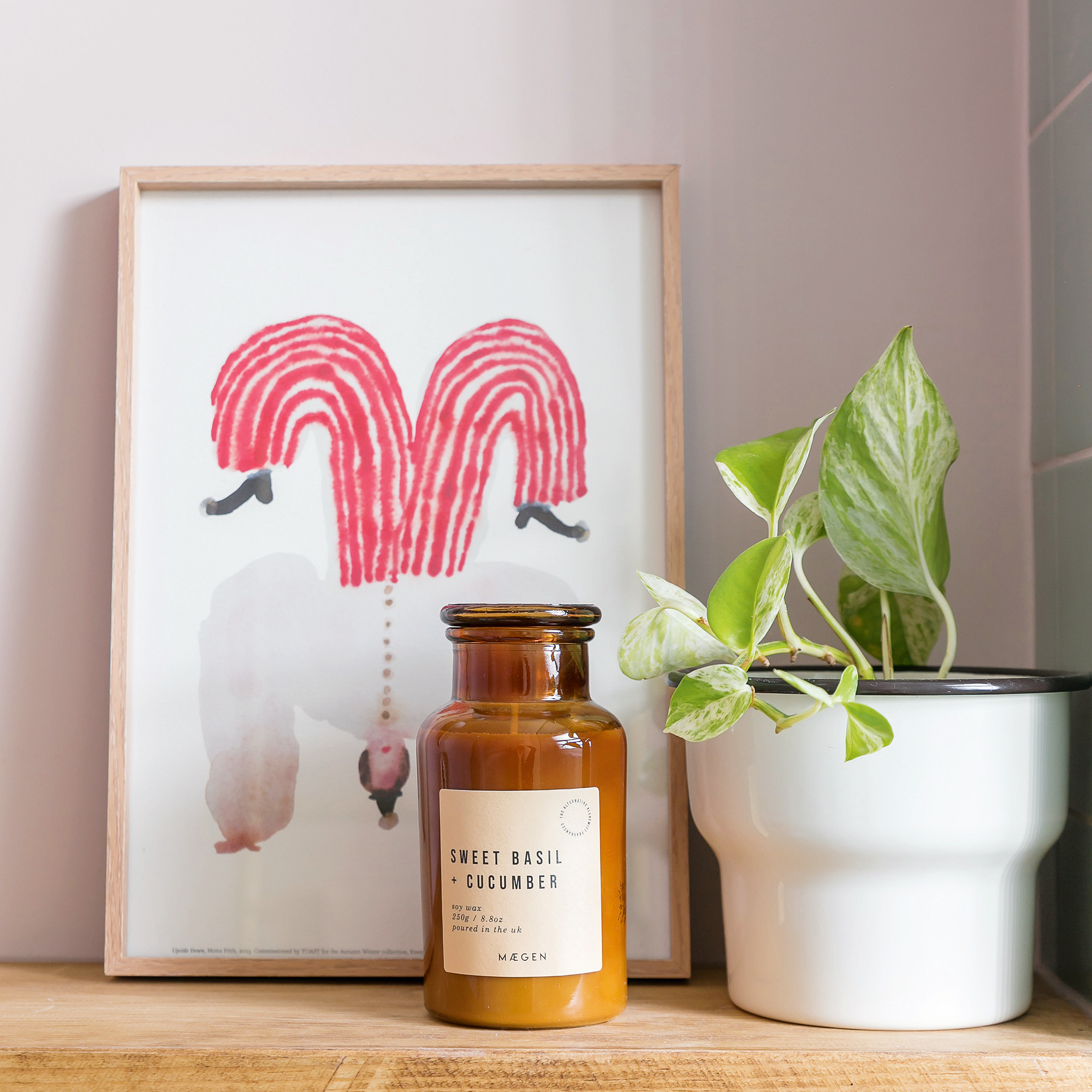 a framed picture, candle in a jar and potted houseplant on a shelf