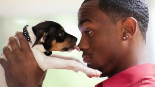 Puppy licking man's nose