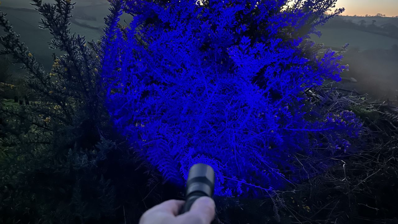 Ledlenser TT3R on blue beam