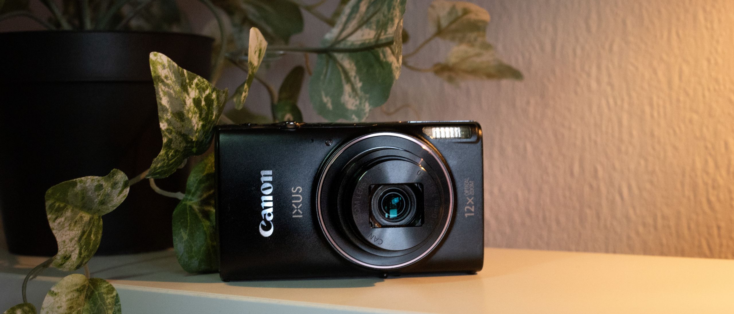'Compact cameras aren’t dead!' — I tested Canon's latest viral PowerShot, and it reminded me why I got into photography in the first place