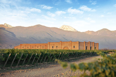 Andeluna, Wines of Argentina