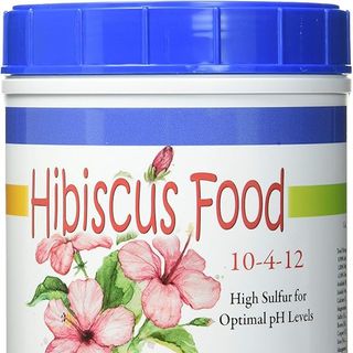 Amazon hibiscus food