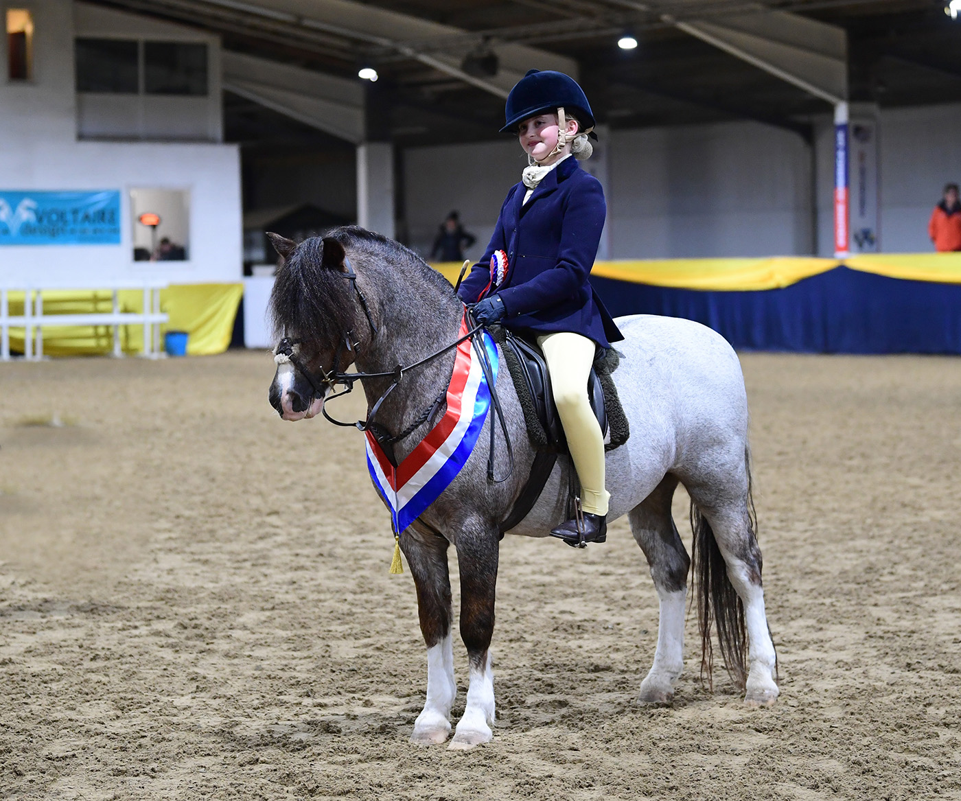 Heritage Show 14.10.2378618