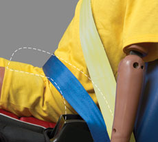 This picture shows poor fit of the lap belt. The dotted line outlines the placement of the armrest.