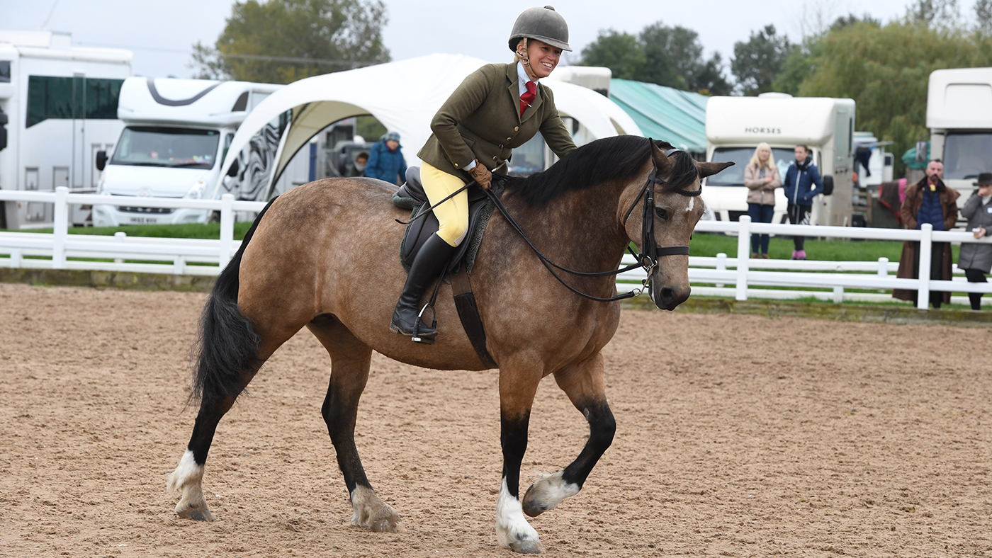 Heritage Show 11.10.19 Olympia Qual. Welsh D No.144 winner Llanarth Fair Lady