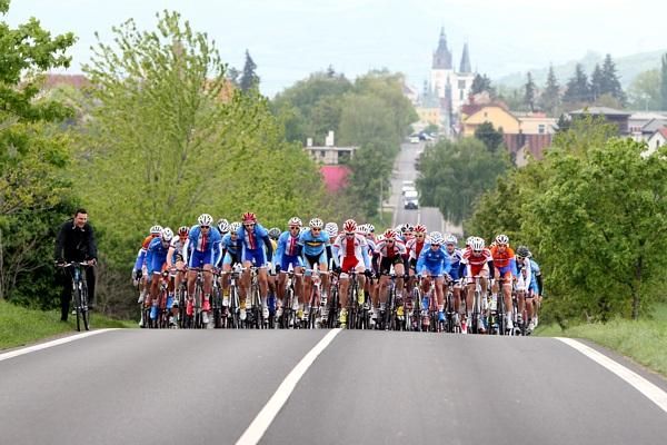 A brief respite for the bunch