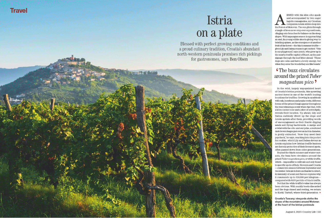 AUG 6 Country Life