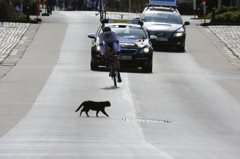 A black cat crosses the path ofLasse Norman Hansen (St&ouml;lting Service Group)