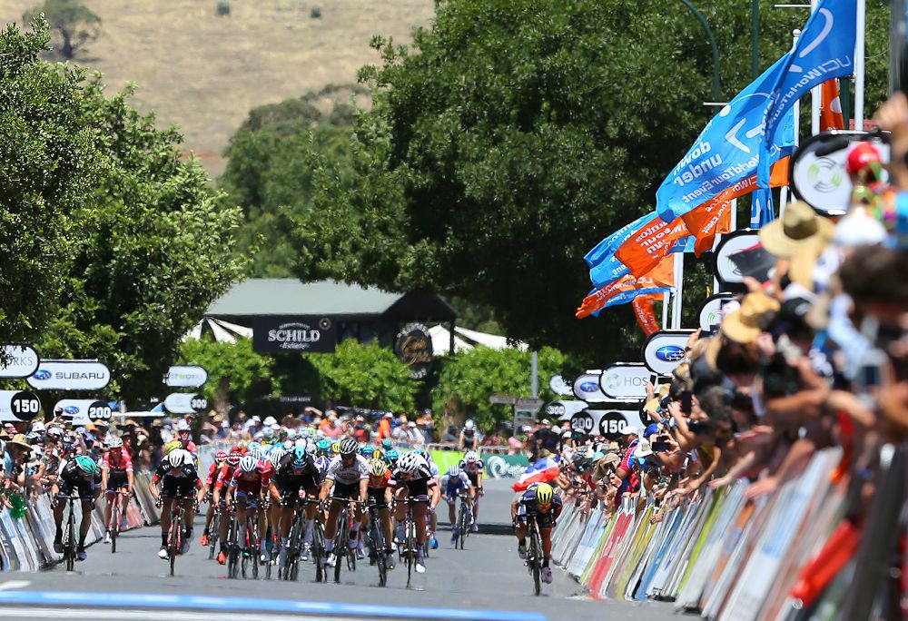 The sprinters approach the line during stage 1 at the Tour Down Under