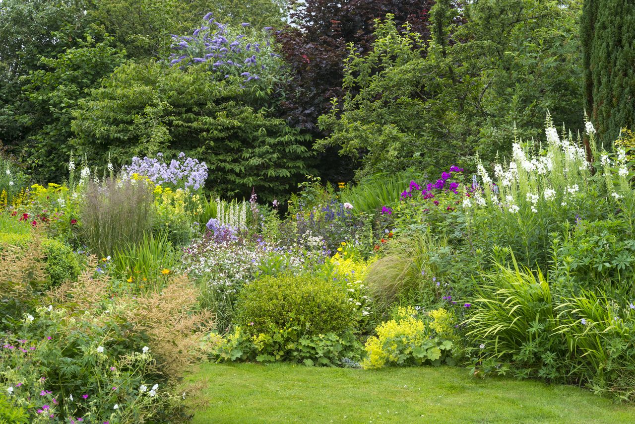 A garden with a small lawn and a flower bed full of different flowers with trees in the background