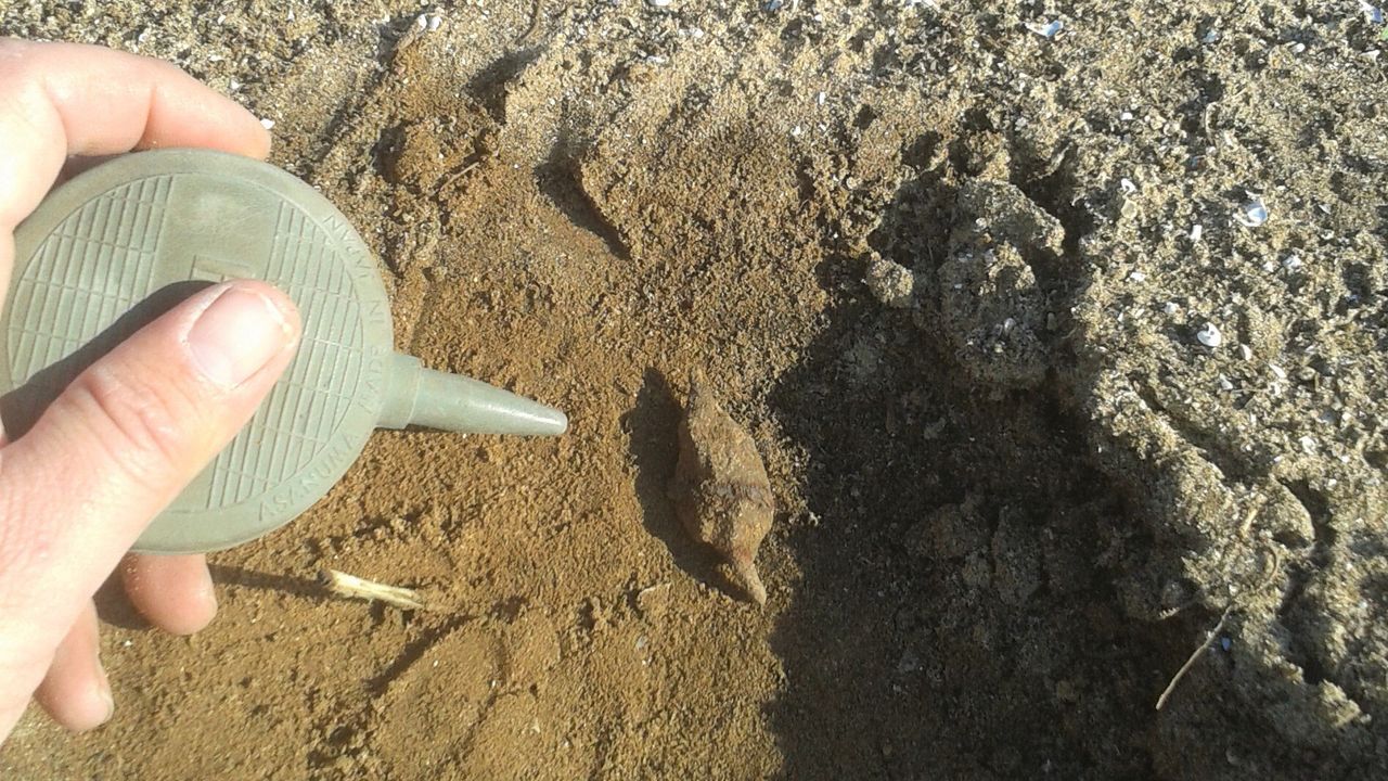 A metal detector survey revealed this medieval arrowhead at the site.
