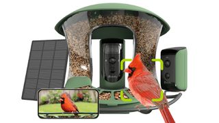 Product shot of Birdfy Feeder 2 Duo