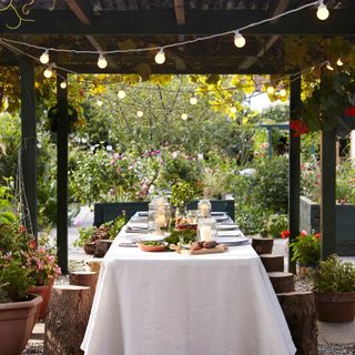 Alfresco festoon garden lights canopy by Lights4fun, over an elegant dining table with a white tablecloth, and plants in a garden in the background