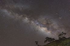 A meteor shoots across the night sky during the Southern Delta Aquariids meteor shower.