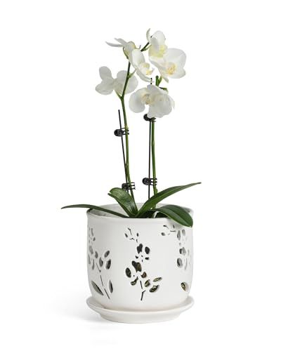 Ceramic Orchid Pot