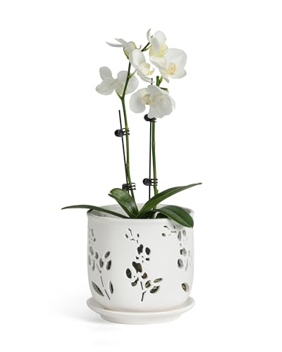 Fayoula Orchid Pots 6.5 Inch Large With Drainage Holes Ensuring Healthy Growth & Easy Repotting, Premium Ceramic for Indoor and Outdoor, Perfect Home Thriving Orchids。