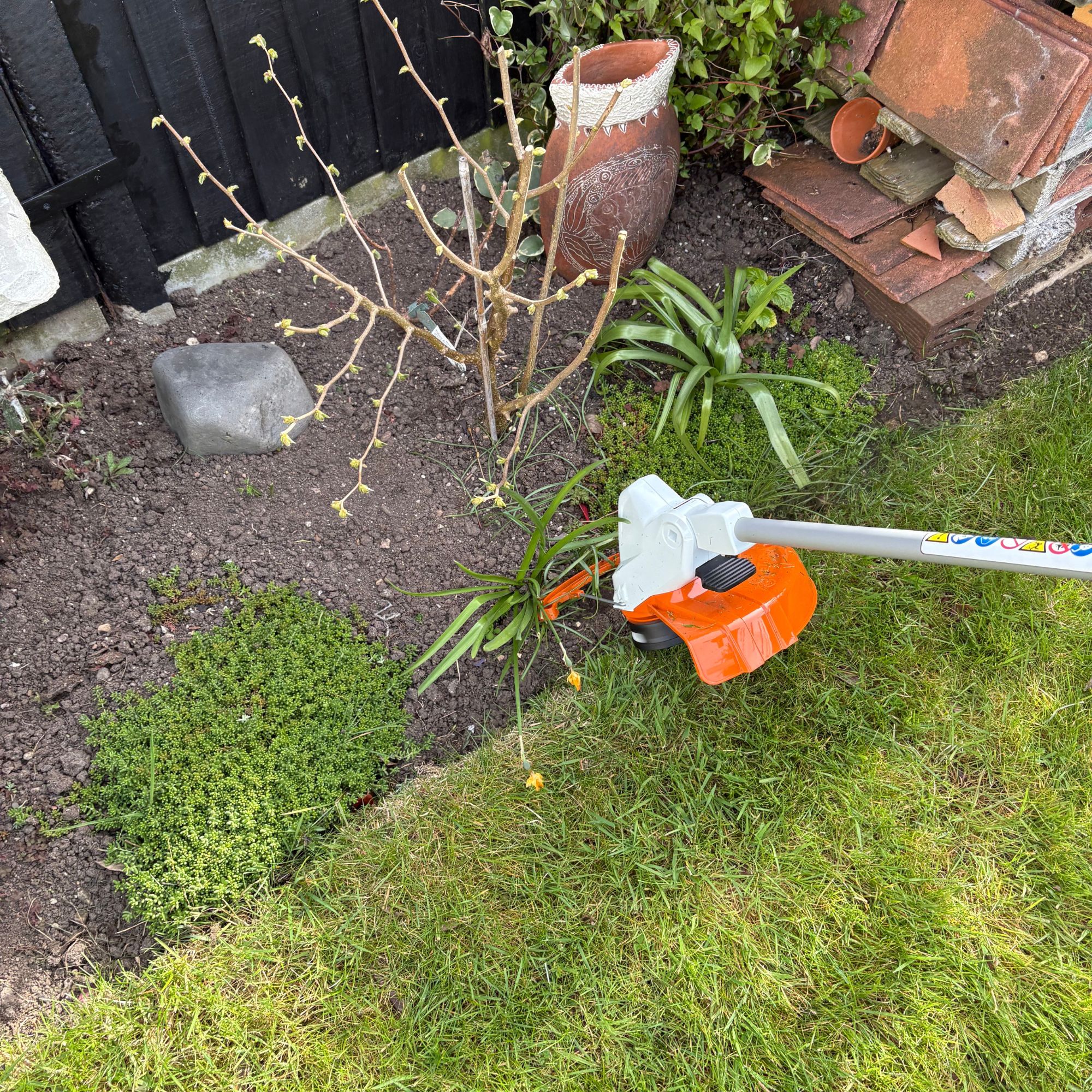 STIHL FSA 50 Cordless Grass Trimmer cutting lawn edge in garden