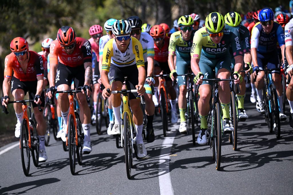 Luke Plapp (Jayco AlUla) and Ryan Mullen (BORA-hansgrohe) in the peloton