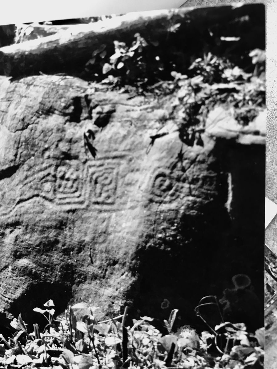 The part of the monolith containing the feline feathered figure is shown here in this photograph. The figure is a deity that was worshiped in ancient Peru.