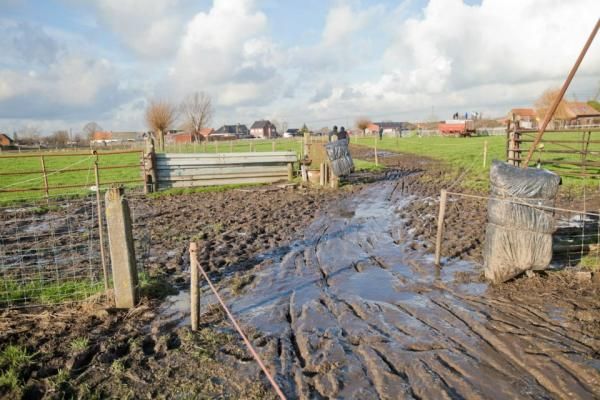 You know you're in Belgium when the mud looks like this.