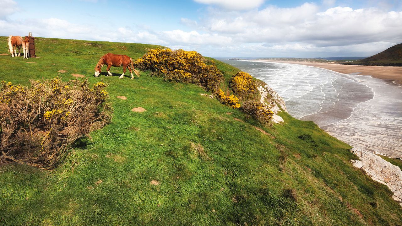 Rhossili Bay