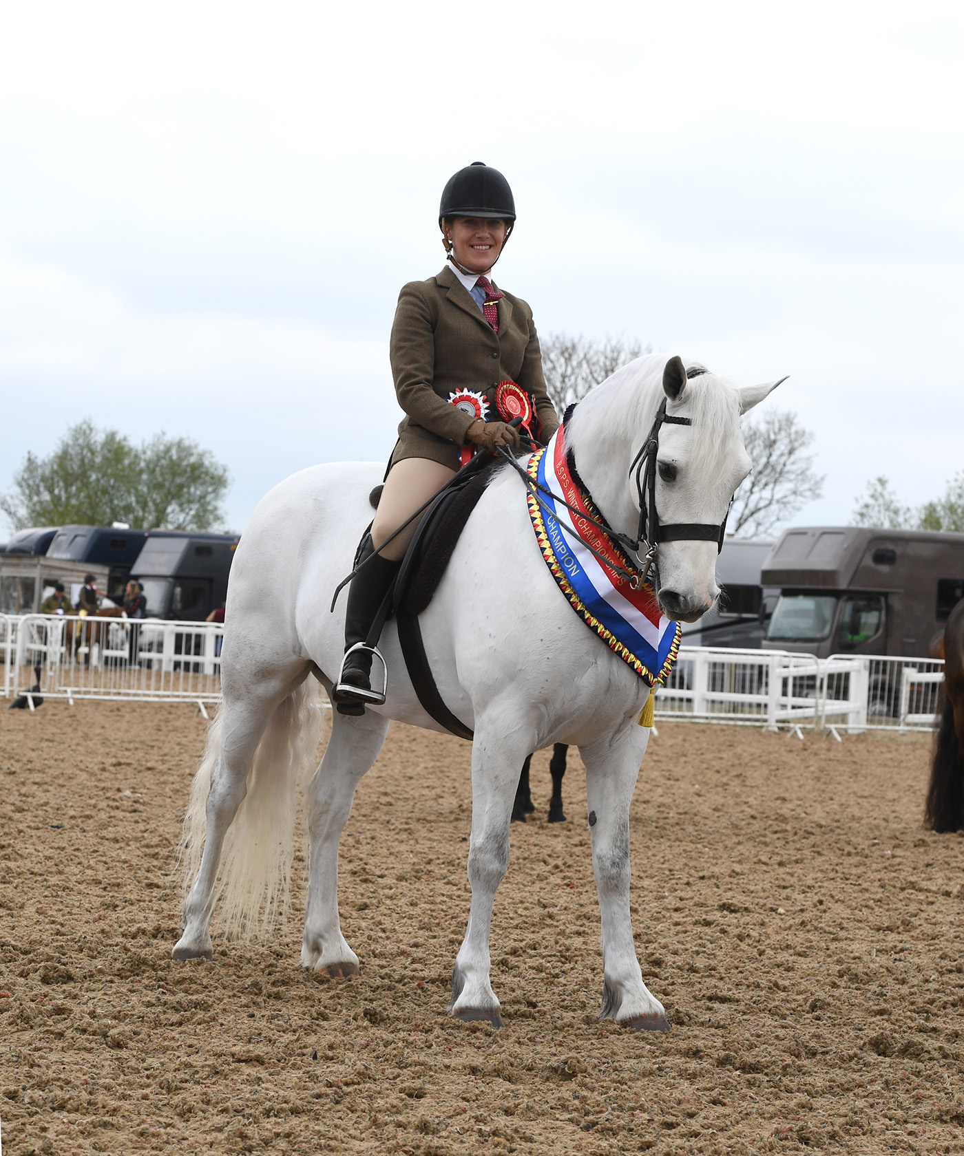 BSPS Winter Champs. 01.05 2254333