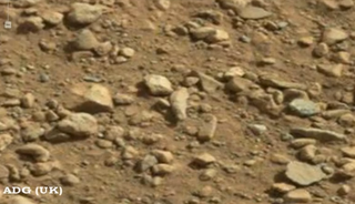 "Possible ancient finger" spotted in Curiosity photos.