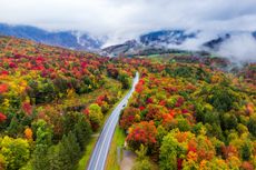 Aerial view of road winding between trees during fall, Vermont, United States,USA