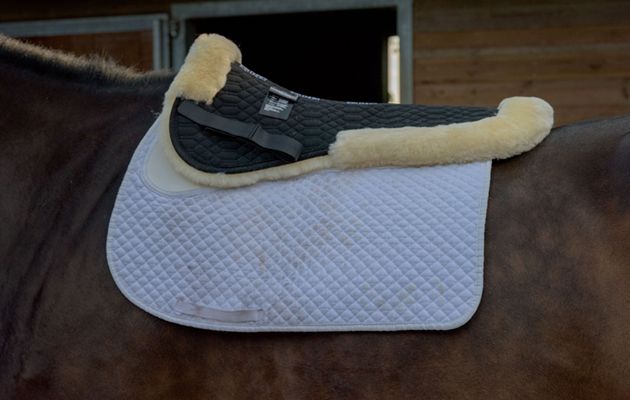 Felix B&uuml;hler Sheepskin Sydney Saddle Pad review