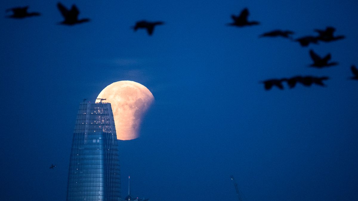 Astrophotography in October 2023: what to shoot in the night sky this ...