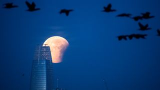 A super blue blood moon is seen behind Salesforce Tower during a partial lunar eclipse in San Francisco, California before dawn on January 31, 2018. Stargazers across large swathes of the globe -- from the streets of Los Angeles to the slopes of a smouldering Philippine volcano -- had the chance to witness a rare "super blue blood Moon" Wednesday, when Earth's shadow bathed our satellite in a coppery hue. / AFP PHOTO / JOSH EDELSON (Photo credit should read JOSH EDELSON/AFP via Getty Images)