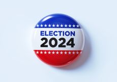 2024 US election button