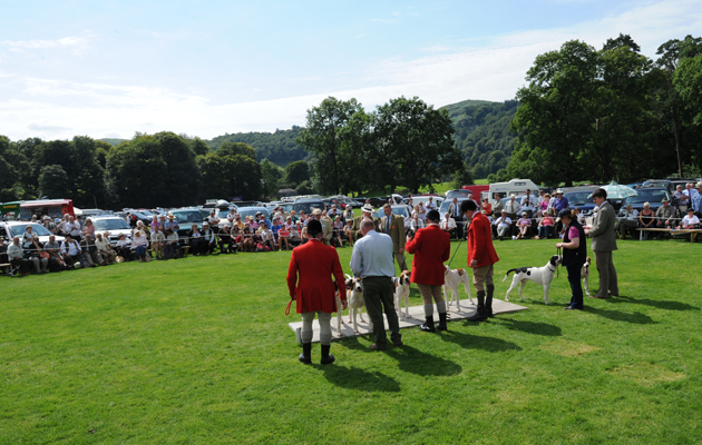 Rydal Hound Show 13.08.15