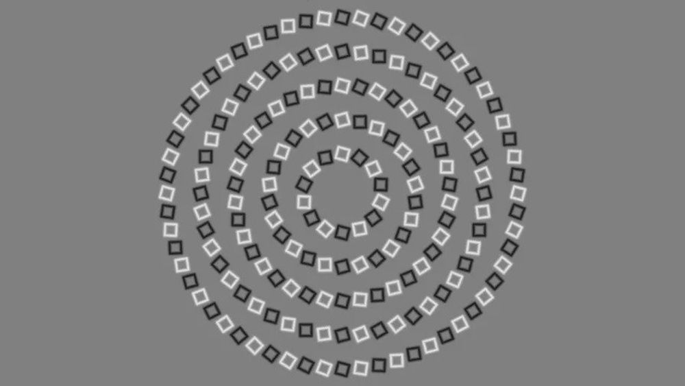 This head-spinning optical illusion has just broken my brain