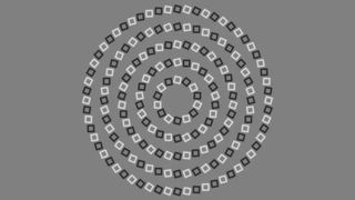 An optical illusion showing what appears to be a spiral made of black and white rectangles