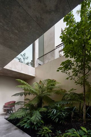 Leafy courtyard inside House of Stone and Soul, an Australian family home