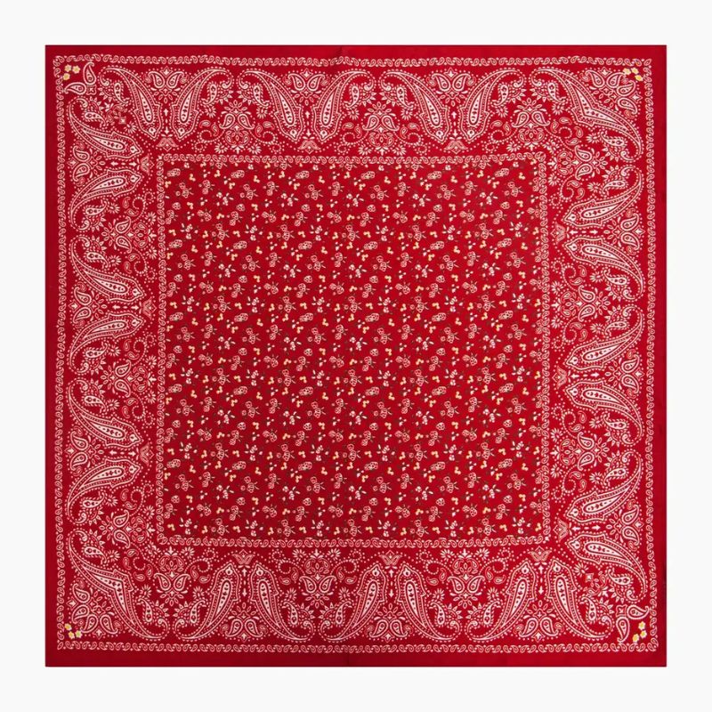 red paisley debenhams scarf