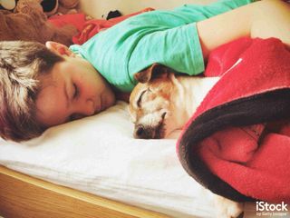 Boy sleeping with dog, by gollykim