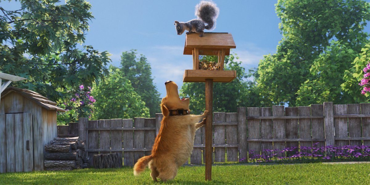 Dug the loveable talking dog barking at the squirrel on top of the bird house