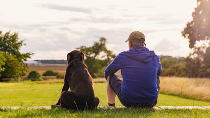 Senior man and his dog sit on the grass and look at the horizon