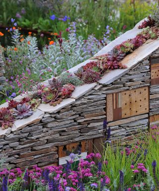 dry stone wall with built-in insect hotels and succulents growing on top of the wall