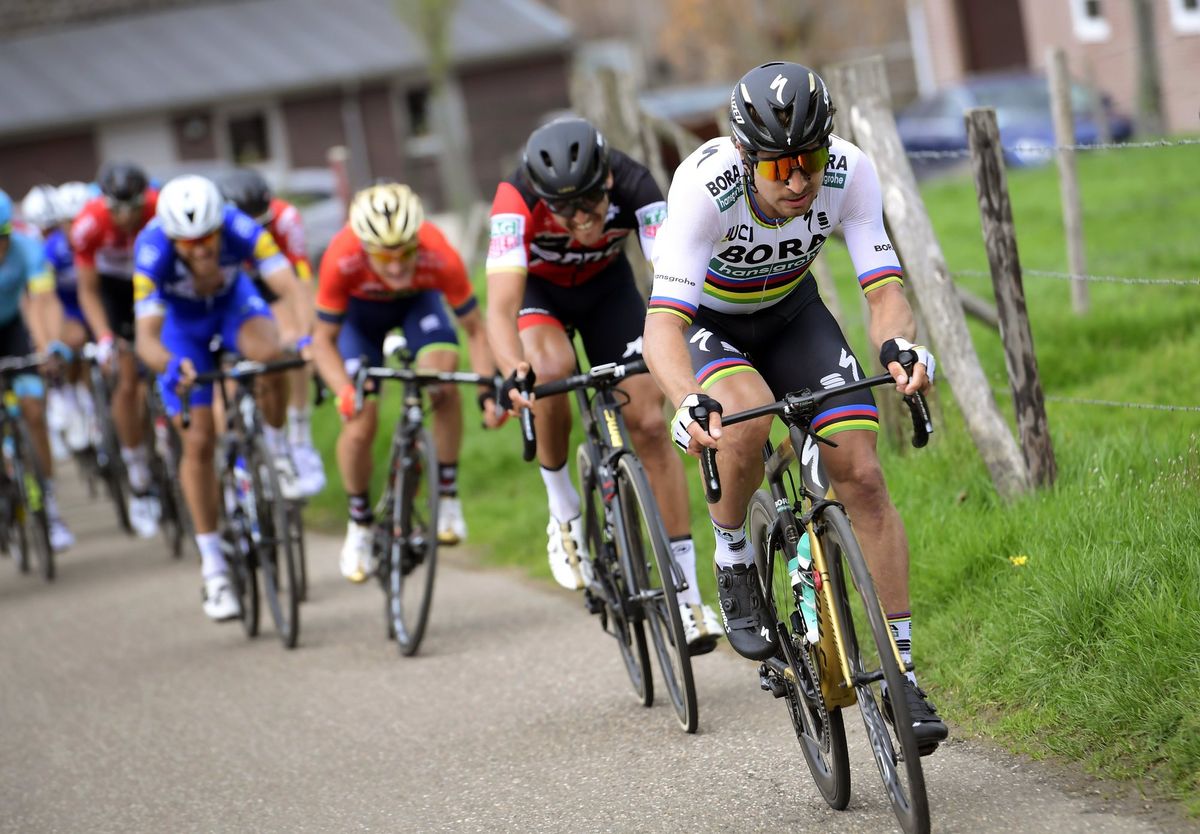 Peter Sagan (Bora-Hansgrohe)