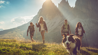 Four people hiking with a dog